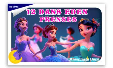 12 DANS EDEN PRENSES