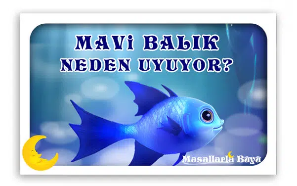MAVİ BALIK NEDEN UYUYOR?