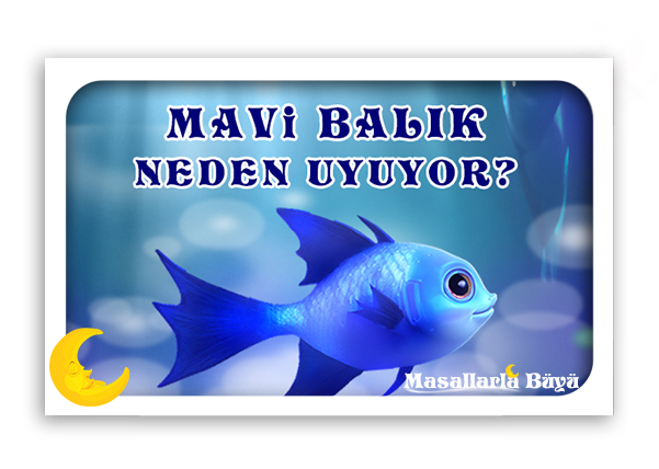 MAVİ BALIK NEDEN UYUYOR?