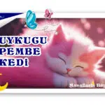 UYKUCU PEMBE KEDİ